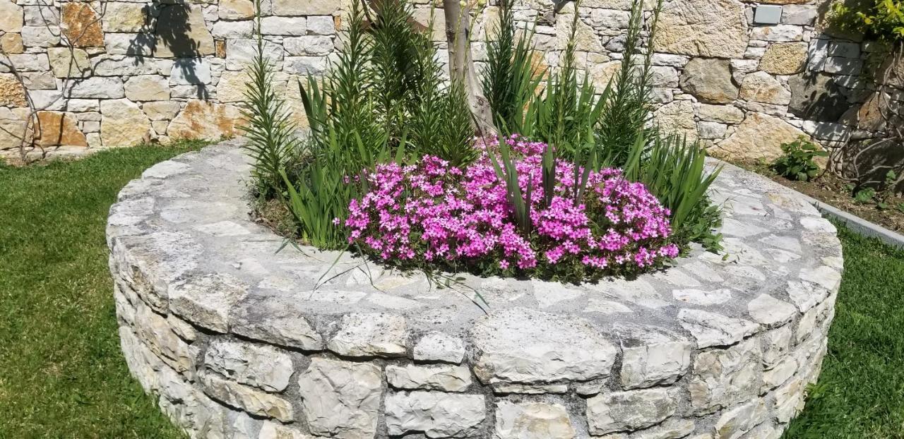 Country House Bubullime Albania Lushnje Екстер'єр фото
