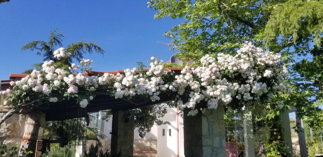 Country House Bubullime Albania Lushnje Екстер'єр фото