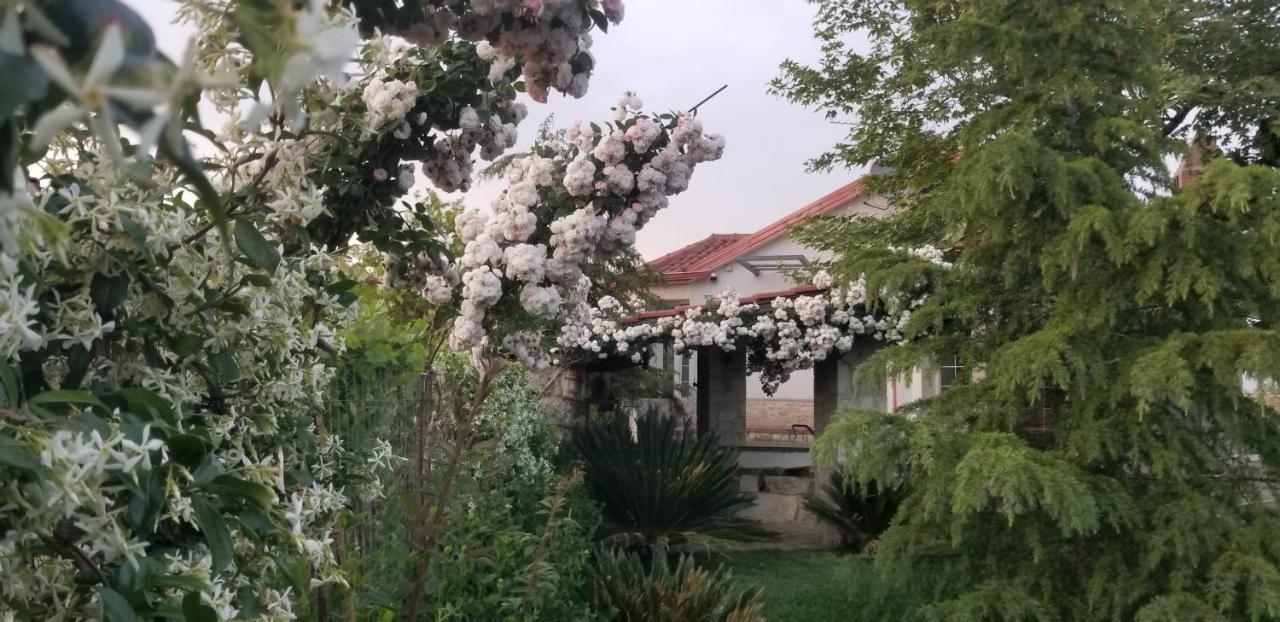 Country House Bubullime Albania Lushnje Екстер'єр фото
