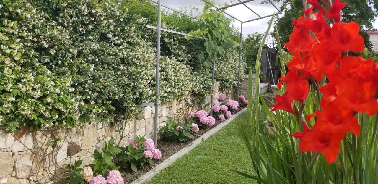 Country House Bubullime Albania Lushnje Екстер'єр фото