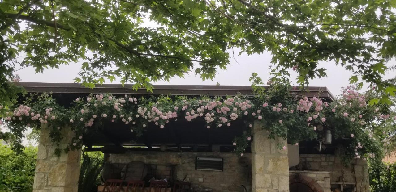 Country House Bubullime Albania Lushnje Екстер'єр фото