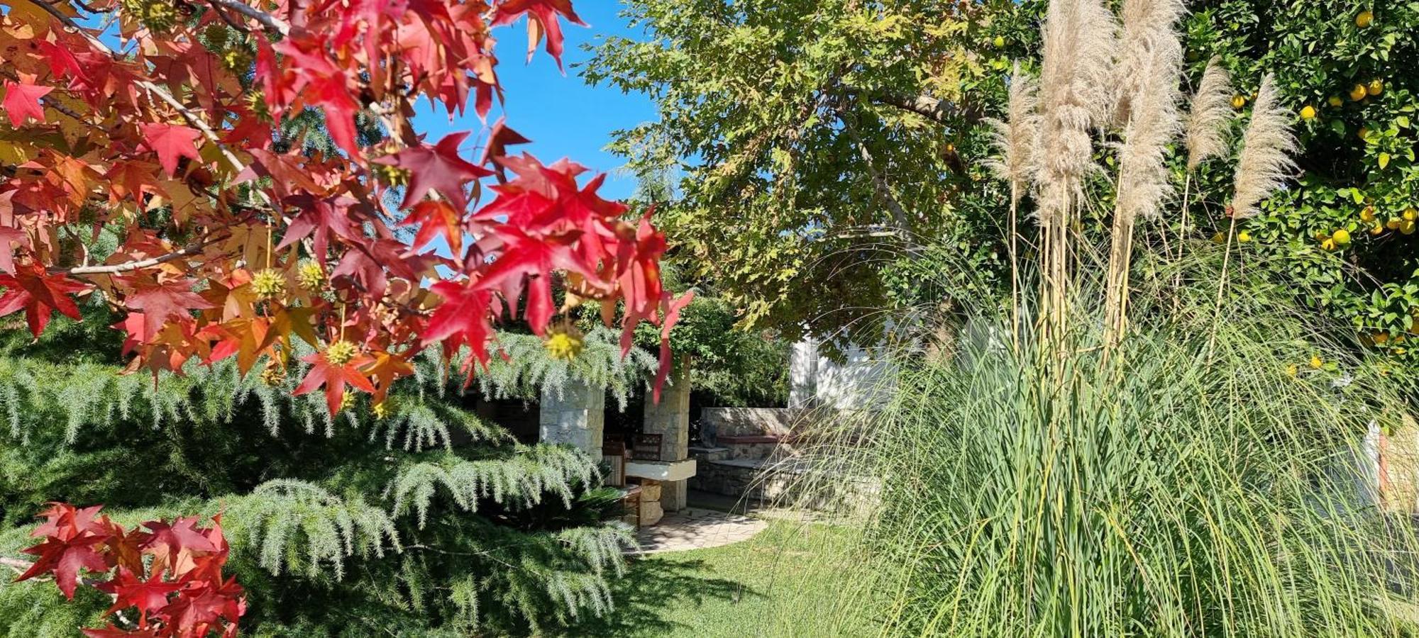 Country House Bubullime Albania Lushnje Екстер'єр фото